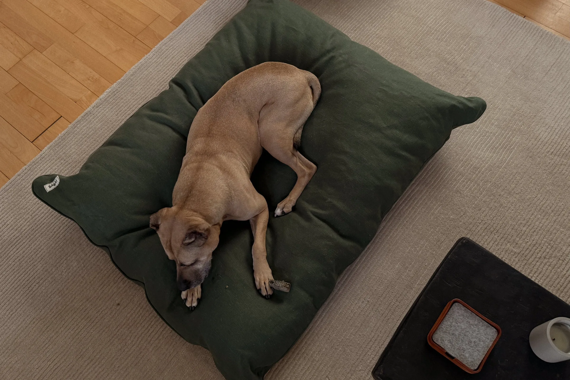 The Dog Bed in Hemp
