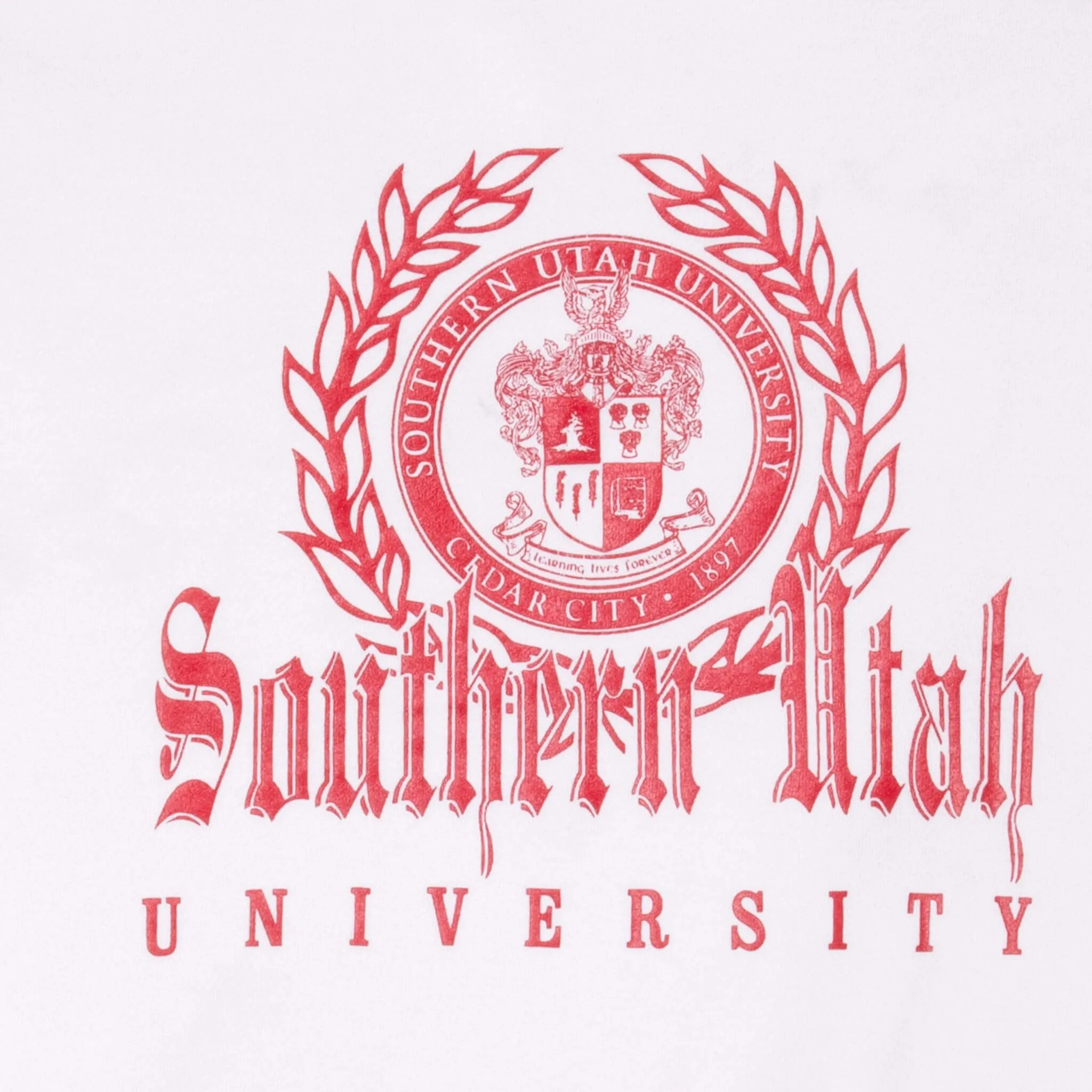 VINTAGE CHAMPION SOUTHERN UTAH UNIVERSITY SWEATSHIRT 1980S LARGE MADE IN USA